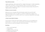 professional SEO blog content writing